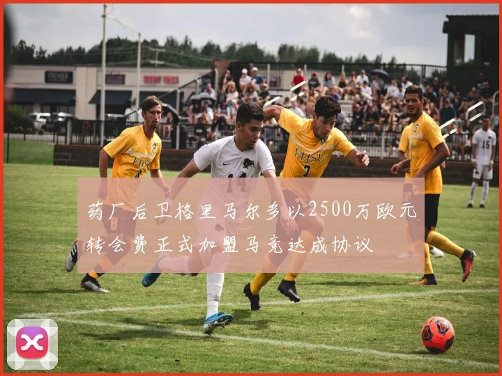 药厂后卫格里马尔多以2500万欧元转会费正式加盟马竞达成协议